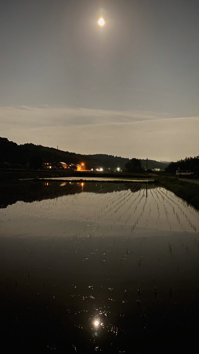 水面に映る月