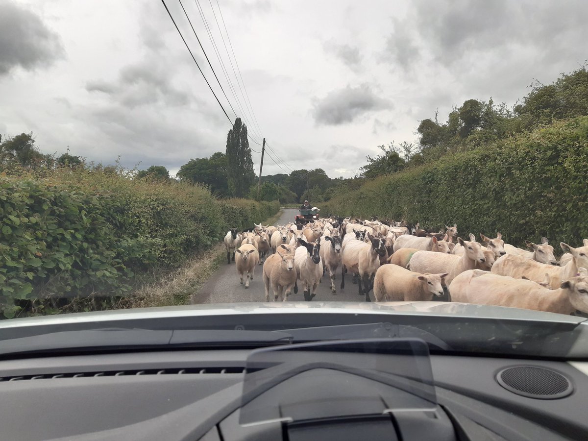 Usual traffic issues on my comute from work today 😊 <a href="/WyeValleyNHS/">Wye Valley NHS Trust</a> #lovemyjob #wvtcommunity <a href="/weekdayworker/">David Farnsworth</a> <a href="/AmandaE43428047/">Amanda Spooner</a>