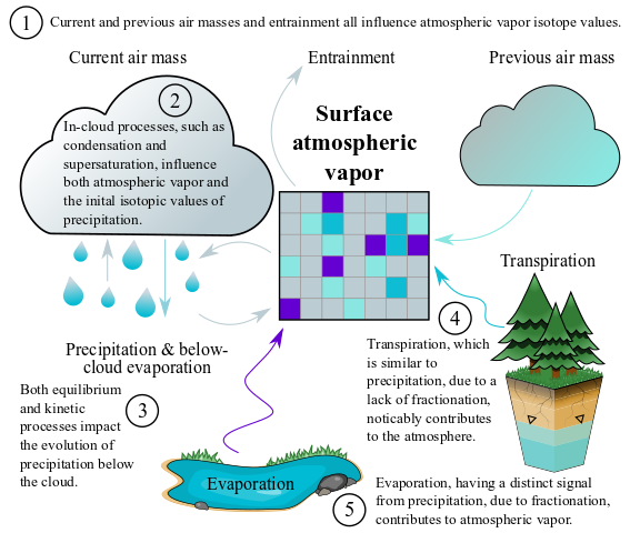 ecojydrology's tweet photo. Published! The assumption that vapor and precipitation are in isotopic equilibrium is very common in studies of (paleo)climate, hydrology, and ecology. We evaluate and quantify (Bayesian alert!) uncertainties in the assumption. https://t.co/fCPrKOBPu0 https://t.co/p812kliNU4