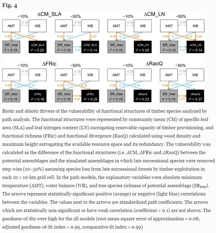 SpringerPlants's tweet photo. #Ethnobotany-informed trait #ecology: measuring vulnerability of timber provisioning services across forest biomes in Japan 🌳 https://t.co/TGwmzmPoMq 🌳 #SNBIOC #SpringerNature #BiodiversityConservation #forestbiomes #functionalredundancy #conservationbiology @SpringerJP_LS https://t.co/62ybj0KkZH