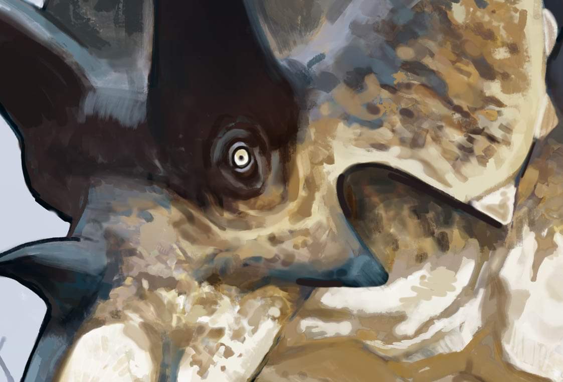 TomHoltzPaleo's tweet image. Something BIG is happening with ceratopsians tomorrow. @df9465 will tell all. (Art by @VilleSinkkonen)

Stay tuned.