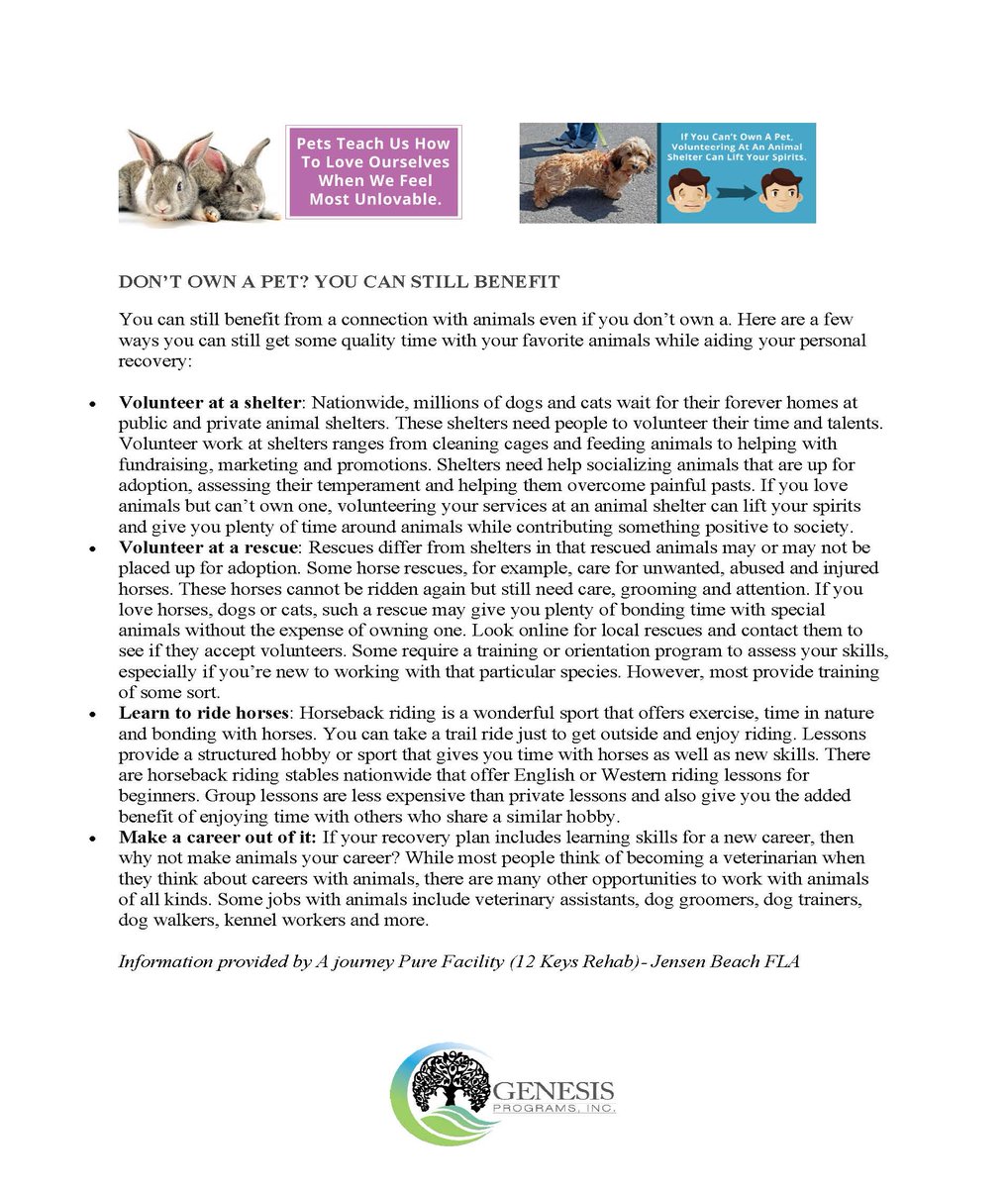 GenesisProgram's tweet image. HAPPY &quot;HUG YOUR CAT&quot; DAY!  Take a look at the possibilities of what a animal might have to offer you in your journey to a better quality of life!  
#BetterQualityOfLife #GenesisPrograms #HugYourCatDay #AnimalSupport
GenesisPrograms.com
worldsaliveequine.com