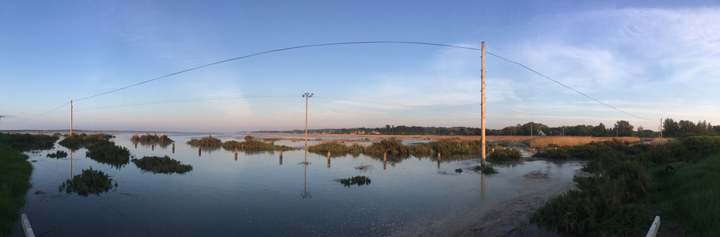 Big tides are forecast! I can't wait to paddle the beach road tour again! Such a special experience! 

#brancasterbeach #paddleadventures #SUPtours #brancasterstaithe #lovenorfolk #brancaster #burnhammarket #blakeney #burnhamoverystaithe #northwestnorfolk #tribenorfolk