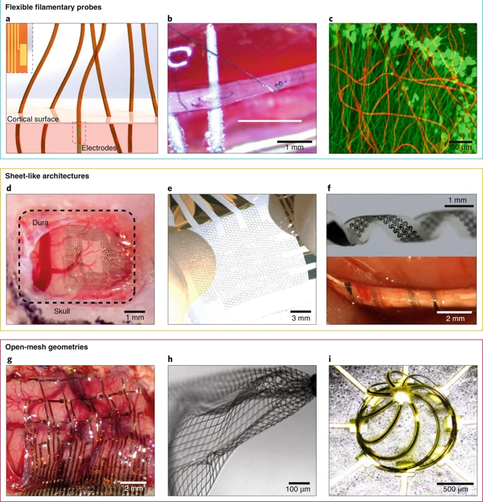 NatureMaterials's tweet photo. Review | Materials for flexible bioelectronic systems as chronic neural interfaces @NUFeinbergMed
https://t.co/p2KAM2tnES https://t.co/cNVm6dLic9