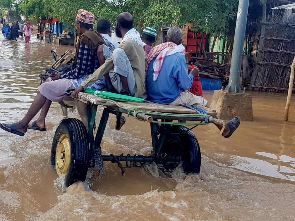 IOM Somalia tweet media