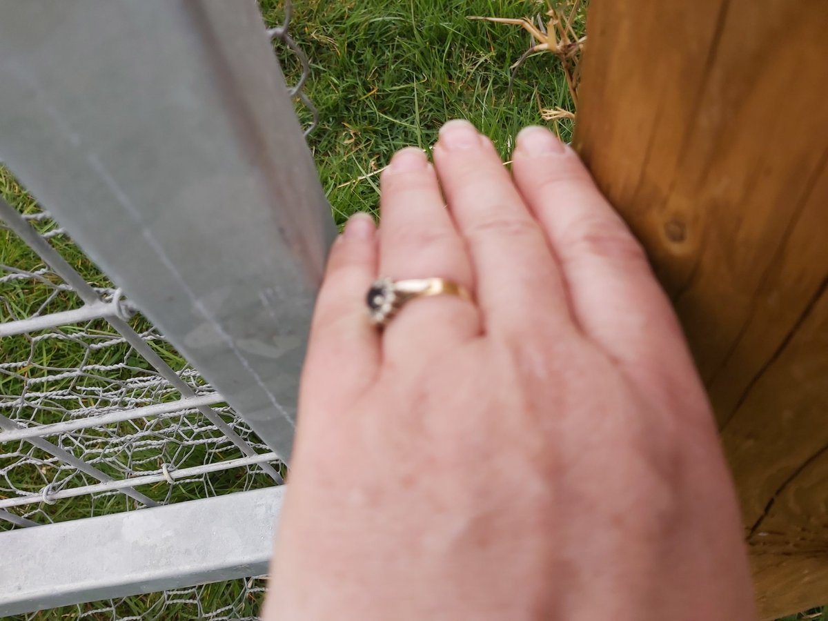 Gateways are another weak point.Plenty of space for rabbits to get through into the tree plantation here!