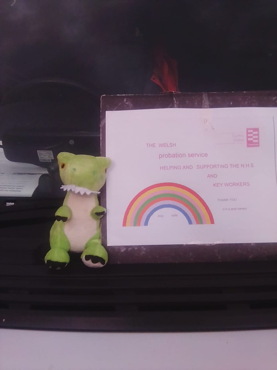 Here in Gwent we have a mascot who is helping with deliveries to residents in our community. May I introduce Kevin to our partners and friends in the community. He was born in a skip and named by our service users.