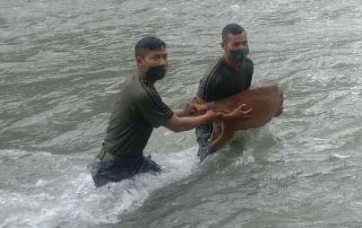 SuboSrivastava's tweet photo. Unit of #IndianArmy successfully rescued a female Barking Deer from Jiding Kho River #Arunachal on 02 Jun. It was given first aid in coord with the local Forest Dept &amp; later released in Eagles Nest Wildlife Sanctuary
@ParveenKaswan https://t.co/ffansiOLvR