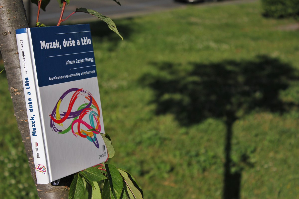 Po tragédii v belgickém dole Marcinelle v srpnu 1956 propukla "epidemie" revmatismu měkkých tkání: „Strach seděl horníkům za krkem (jak praví lidové rčení) a způsobil svalovým napětím epidemii těžkých bolestí.“ Čtivě o psychosomatice MOZEK, DUŠE A TĚLO.
bit.ly/2Udc18m