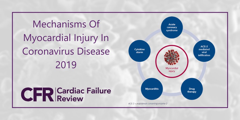 While COVID-19 primarily affects the respiratory system, it also appears to have a unique interplay with the #cardiovascular system.
 
ow.ly/ThbM50zYyry 

This #CFRJournal article looks to summarise the available literature on mechanisms of #myocardialinjury in #COVID-19.🦠