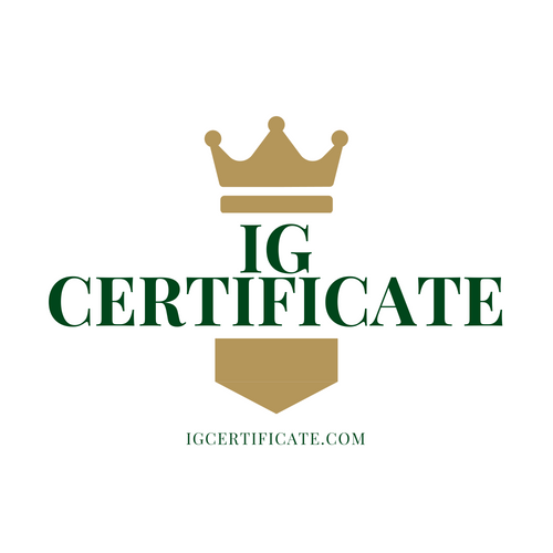 websiteswithus's tweet photo. Get your domain to show off your training company, certification, or education program. Information Governance Certificate? https://t.co/rRn258Wp8M #InfoGov https://t.co/dQpxozI4yR https://t.co/nzS6XvWi2K