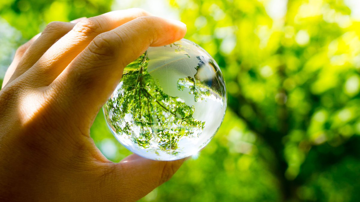 Prepárate para #DíaMundialDelMedioAmbiente 

Hoy, aprende los 4 servicios de #reciclaje que ofrecemos 👉buff.ly/2AcpSAO ¡Súmate a la #EconomiaCircular! ♻️🔄