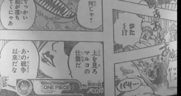 ワンピースのアプーが味方になる可能性 ワノ国で仲間になる説を考察 テレビっ子は今日もゆく