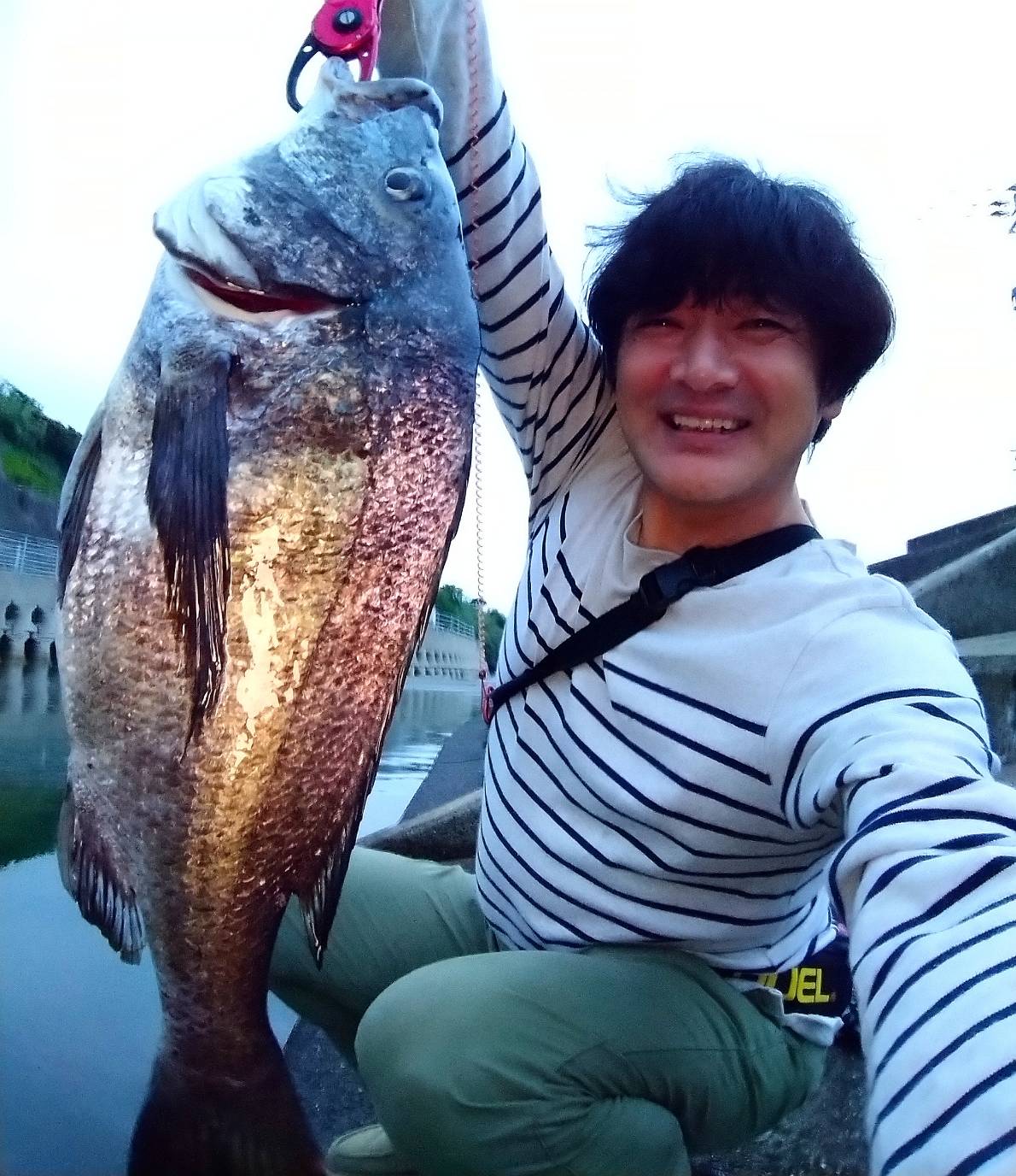 アゴプロダクツ shoots twitch s50ul - ロッド アゴプロダクツ shoots twitch s50ul - ロッド