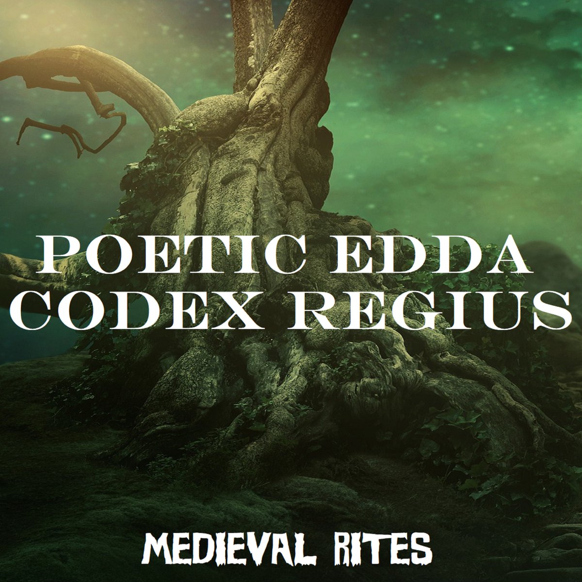 "Poetic Edda: Codex Regius" is the first volume of a trilogy of releases inspired by Old Norse anonymous poems
#FreeDownload <a href="/andCamp/">andres campbell</a>​ medievalrites.bandcamp.com/album/poetic-e…
 #Viking #norse #pagan #viking#music #viking#folk
#cinematic #orchestral #Ambient #dungeonsynth #medieval #medievalfolk