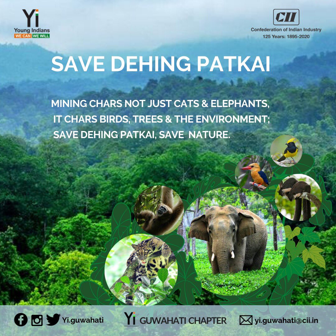 We have a responsibility towards our wildlife &amp; ecosystem. The humans, animals &amp; the trees all have the equal right to a sustainable &amp; safe living. #SaveDehingPatkai #YiGuwahati