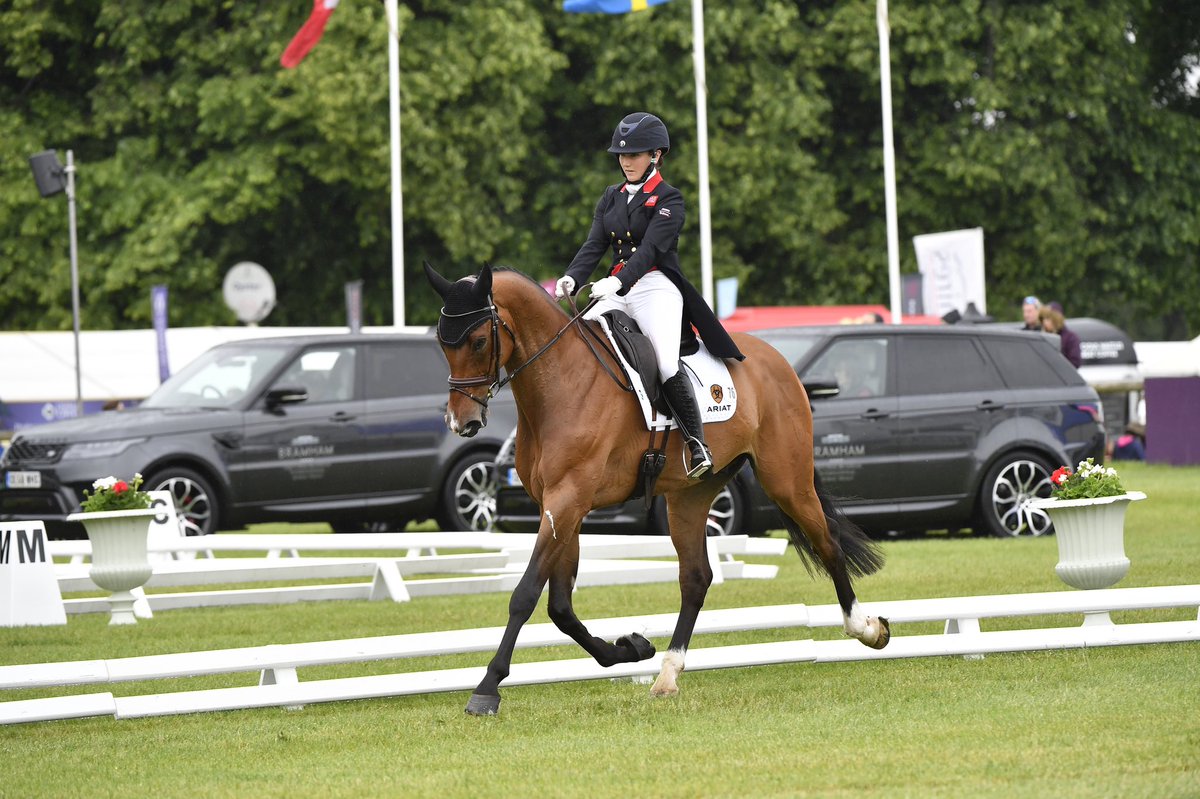 BramhamPark's tweet image. Oh man, this time last year so many of you were enjoying our first day of #dressage! It’s very quiet here today, roll on 2021! Till then, take care &amp;amp; #staysafe. #EBHT #horsetrials #eventing #bramham #bramhamhorsetrials