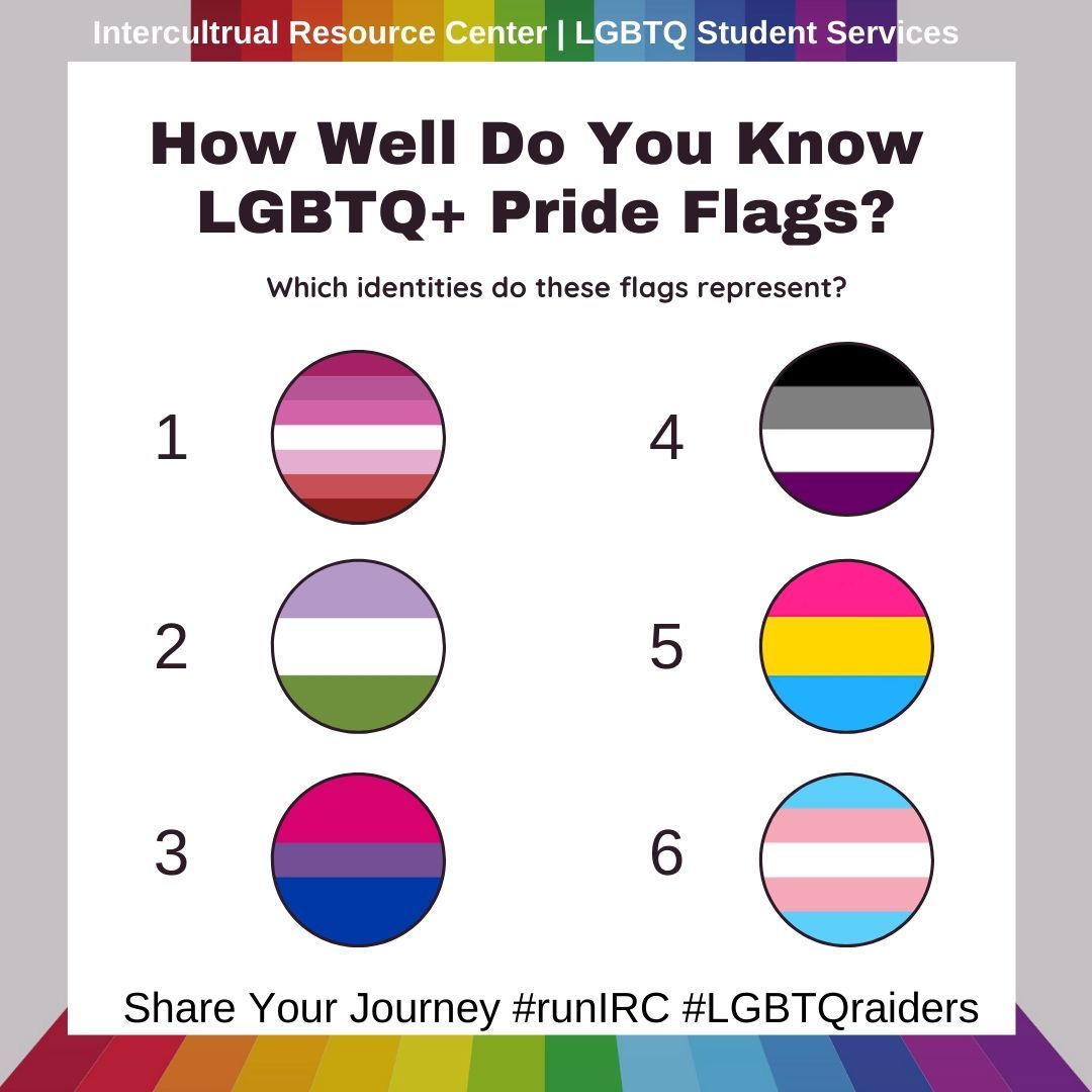 How Many Pride Flags Do You Know? (Very Long) - Test