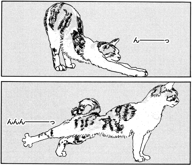 ✧✦ ꜱᴄɪᴏɴ 𝐆'𝐫𝐚𝐡𝐚 𝐓𝐢𝐚 (@allaganeyed) on Twitter photo 