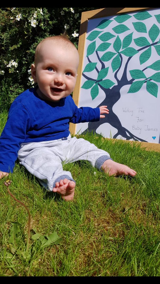 Primary 3 want to say thank you to Mrs Selbie and our ROE baby for setting the class on their Roots of Empathy journey this year. The class created wishes for the baby and Mrs Selbie kindly created and delivered a wish tree to him from the class. #aberdeenlearns #rootsofempathy