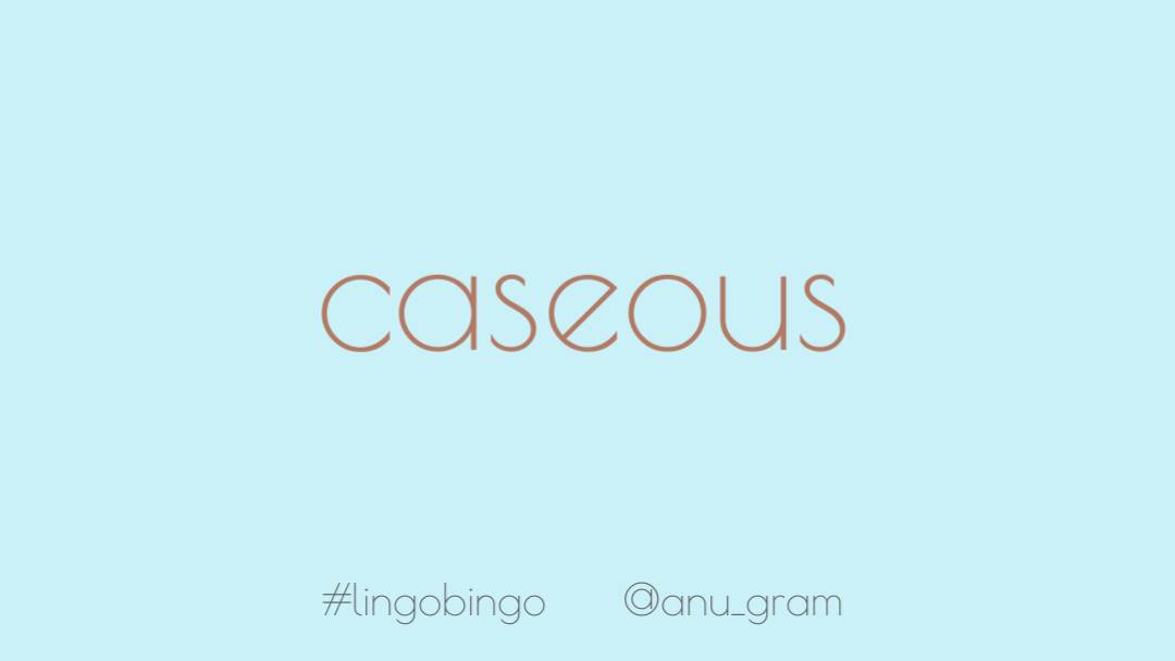 Sometimes I think about just how much I love cheeseYesterday I discovered that 'Caseous' means of or related to cheese and life feels a little more complete for it #lingobingo