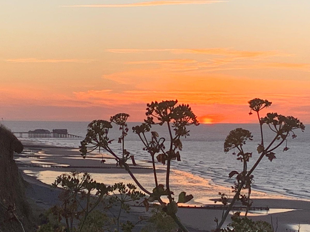 Janine Stackwood tweet media