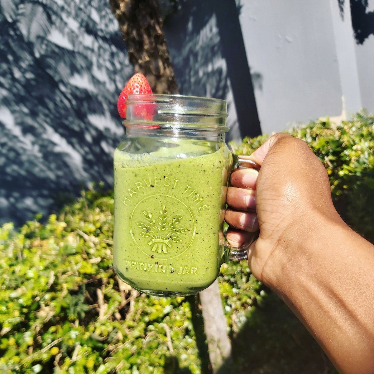 Smoothie time! 
Kale leaves
Apple
Mixed berries
Greek yogurt.
Flaxseeds
Blend and enjoy.
Portion size : palm sized🤪

#smoothierecipe #healthysmoothie #weightlosssmoothie #health #greenislife🌿🍀🍃☘🌴🌿 #greenisgood #dietmyths #FetchYourBody2020 #day70oflockdown