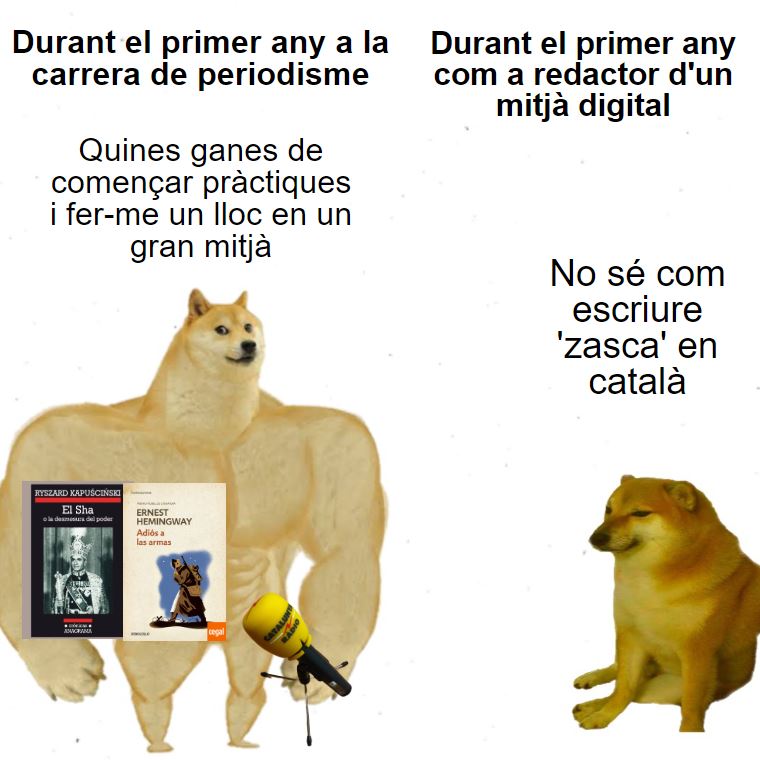 Marc MML tweet media