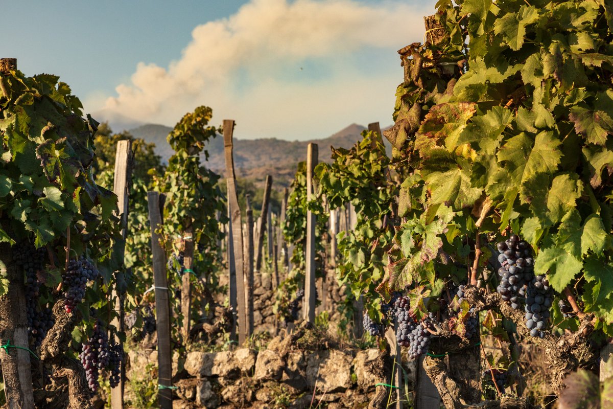 Il virus, il #vino e l'#Etna che riparte. Mia intervista a <a href="/AntonioBenanti/">Antonio Benanti</a> per le Guide di Repubblica <a href="/Guide_Rep/">Le Guide di Repubblica</a>   facebook.com/91361645541975…