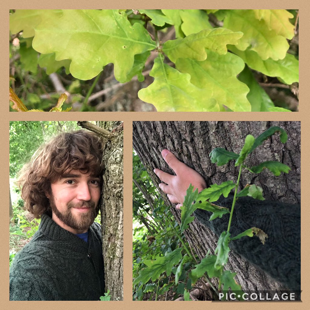 archaeoclarke's tweet photo. Day 4 #30DaysWild Share the love #actsoftreekindness https://t.co/dHyUQS1M3J