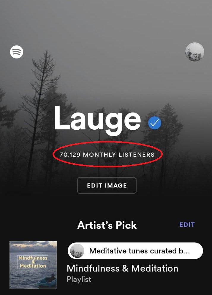 Thank you all for the support on @spotify . I'm so grateful <3

#ambient #darkambientmusic #ambientmusic #dronemusic #neoclassical #darkambient #textures #tapeloops #droneambient #darkambientdrone