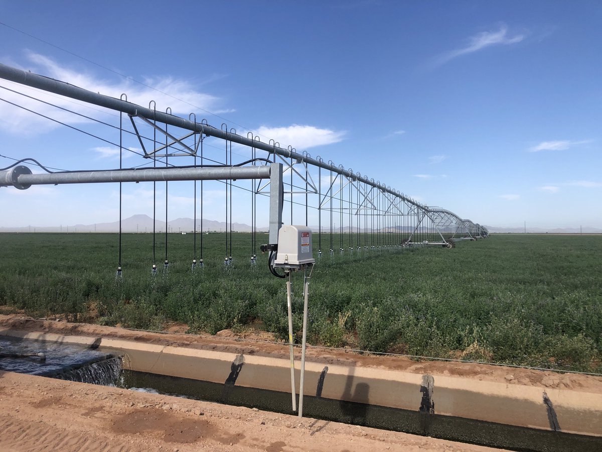 Marlen_GHCorn's tweet photo. Adam Pederson in front of a field of E118D8 near Stansfield AZ, watered by what I believe is the largest linear sprinkler in the US, over 3500’ https://t.co/BogD0QqAS7