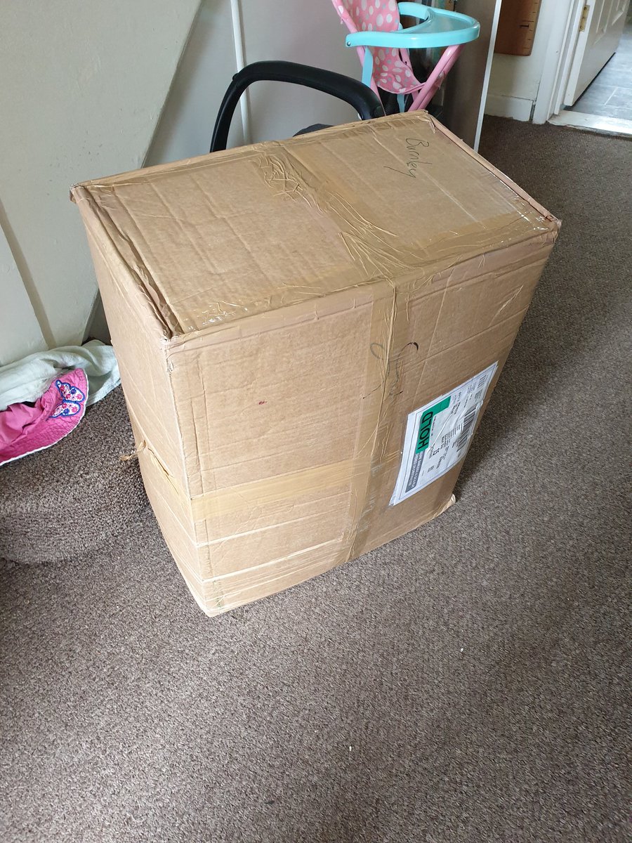 Hayley Coello tweet media