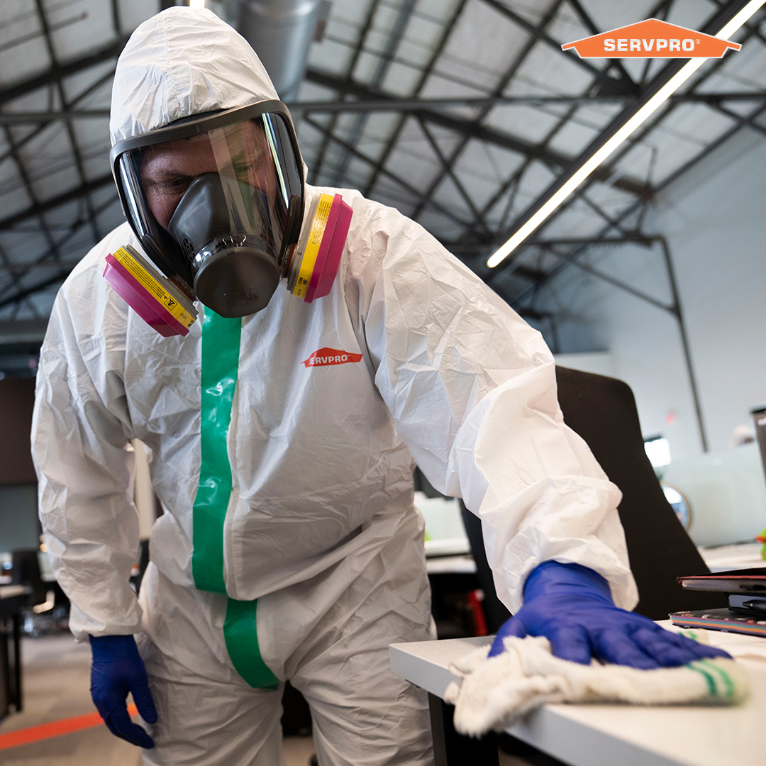 Introducing our new Certified: SERVPRO Cleaned program for  businesses. 
For details or quote, visit bit.ly/2y1ubC8

#SERVPROcleaned #SERVPRO #TeamBehindTheClean