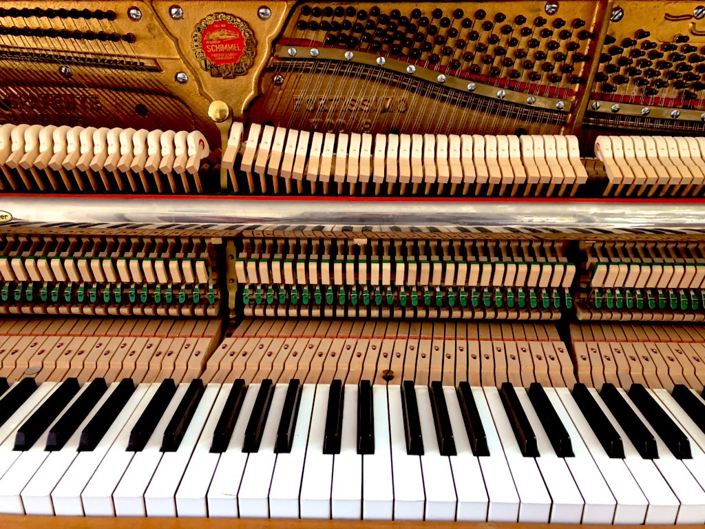 nardkronenberg's tweet image. #mylifeinpictures Day 4/7 no words. I nominate @PaulaVerhagen