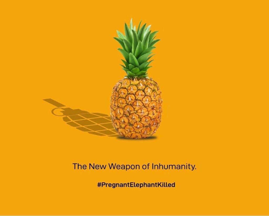 AtulPupnejaadv's tweet photo. 😔😔⁦@KeralaTourism⁩ https://t.co/LQezItpwti
