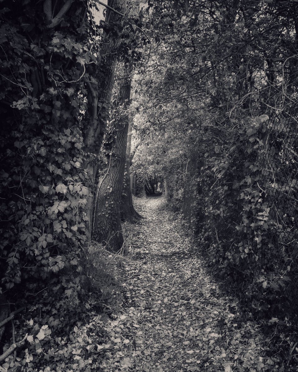 Tunnel Vision

From today’s walk
#iphone #bnw #bnwsouls #bnwphotography #talesofisolation #lockdownart #publicfootpaths #walk #womencreating