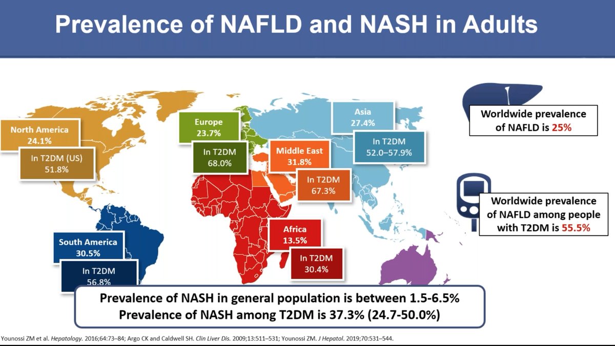 Fantastic grand round by  Dr. Younossi 
ACG #VirtualGrandRounds on #NASH
#livertwitter 
a few of my favorite slides and points made 👇

📣 prevalence of NAFLD and NASH across 🌎
25% worldwide prevalence
55.5% among diabetics
1.5-6.5% NASH