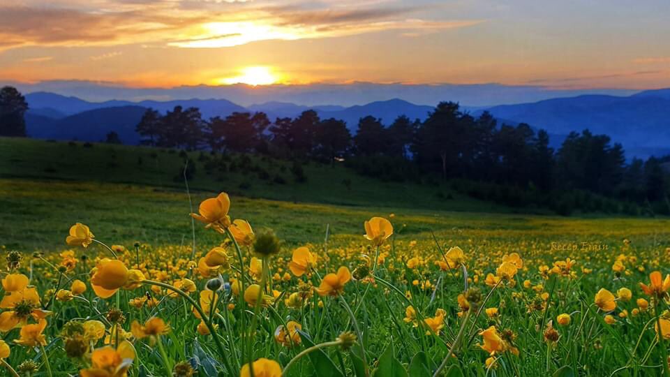 Bir sevdadır Gümüşhane.
(Fotoğraf: Recep Ergin)