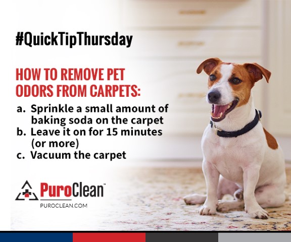 PuroClean Quick Tip Thursday, Cleaning and Safety Tips 6/4/2020 conta.cc/36XCBrd