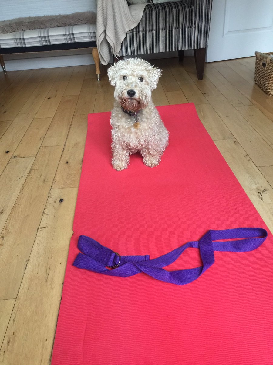 Ready to start my yoga class!