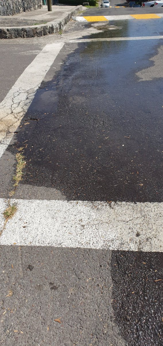 Arigomas's tweet photo. @SacmexCDMX @patiaceves @Claudiashein  Reporto fuga de agua en la Colonia Jardines del Ajusco, 2a secc. Tlalpan. https://t.co/Ds6JHy5V69