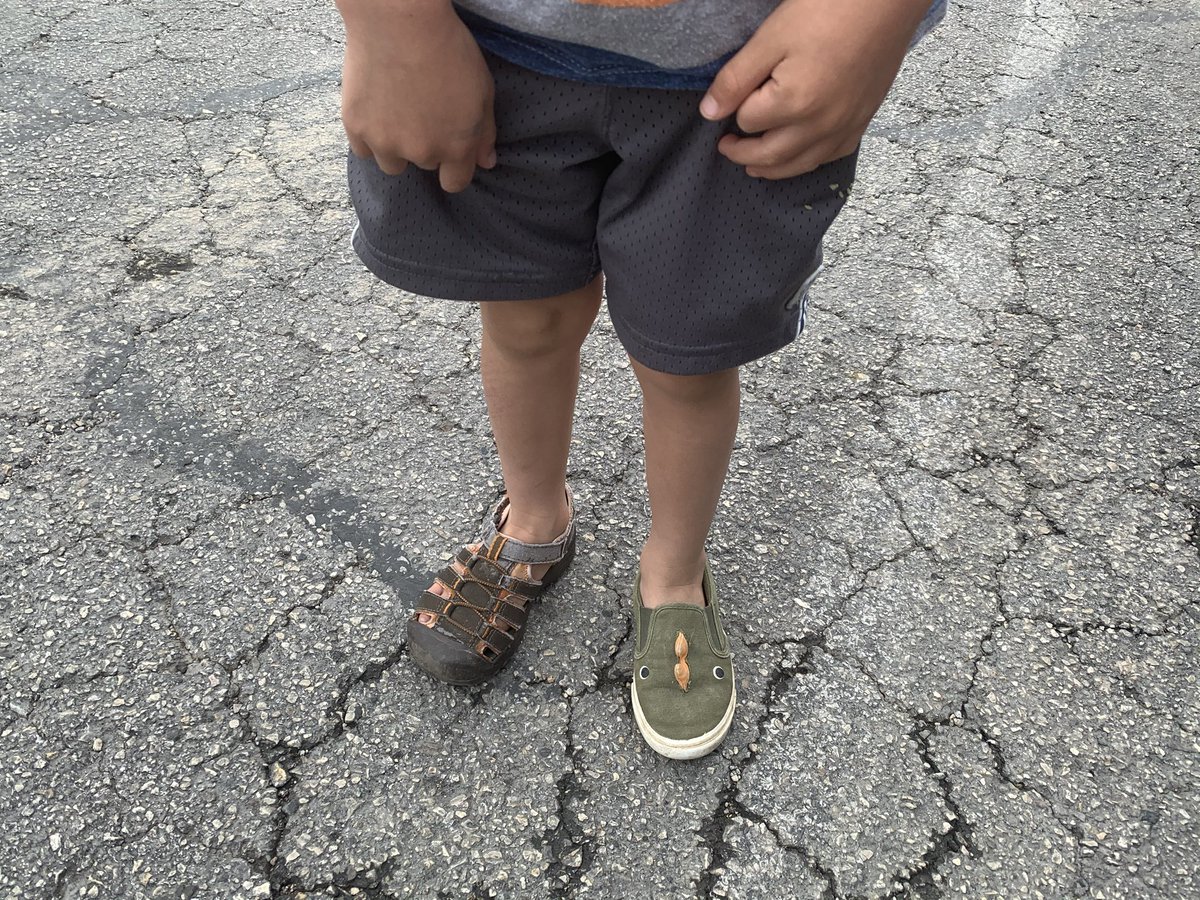 FranchLife's tweet image. this is what happens when your #puppy loves chewing your preschoolers #shoes and he no longer has matching pairs....