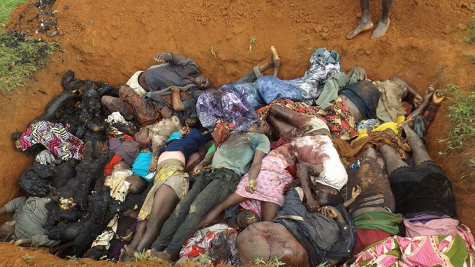 Voir l'image sur Twitter