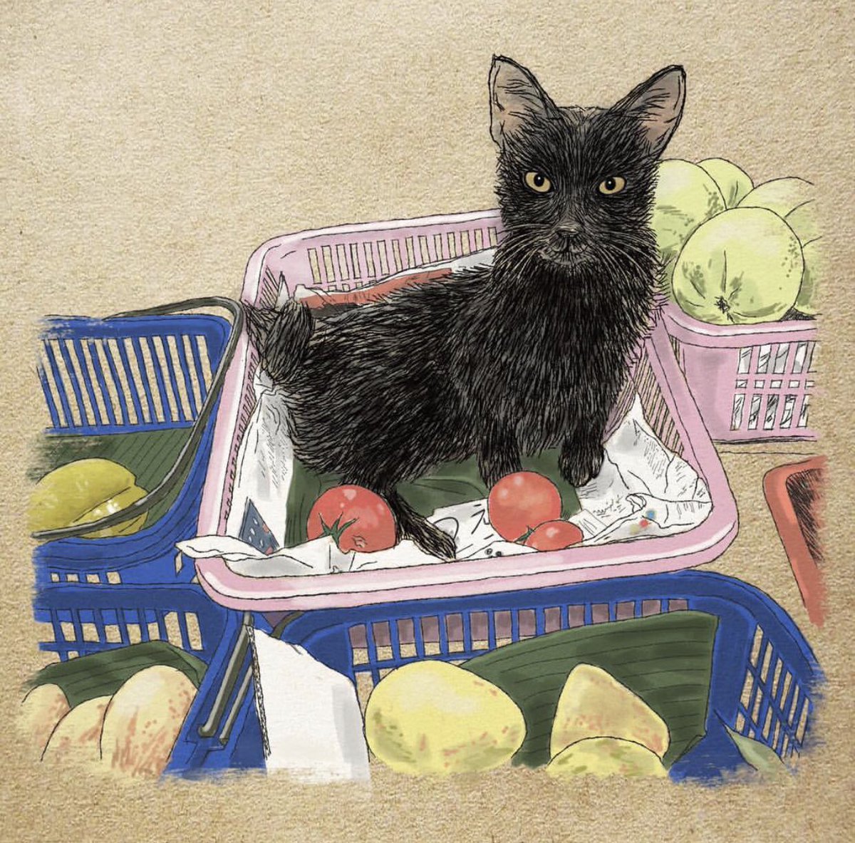 猫好きイラストレーター 365cat Art No Twitter 6月4日 猫カレンダー 365catart やばいにゃ あまりの忙しさに忘れたにゃ こっそりアップ 1日1絵 香港猫 Hongkong 猫似顔絵 猫の似顔絵 猫の絵 猫イラスト 猫のイラスト 猫好きさんと繋がりたい 猫