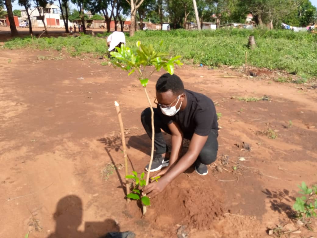 Atj2E_Tg's tweet photo. @Atj2E_Tg a procédé ce mercredi en partenariat avec l’Association "reboisons vite le Togo" à la mise en terre de 200 plants de #KhayaSenegalensis  et d’hévéa à la polyclinique d’Agoe Demakpoe dans le cadre de la journée de l’arbre observé chaque  #1erJuin au #Togo. @loiclawson1 https://t.co/2yfY0SOOCg