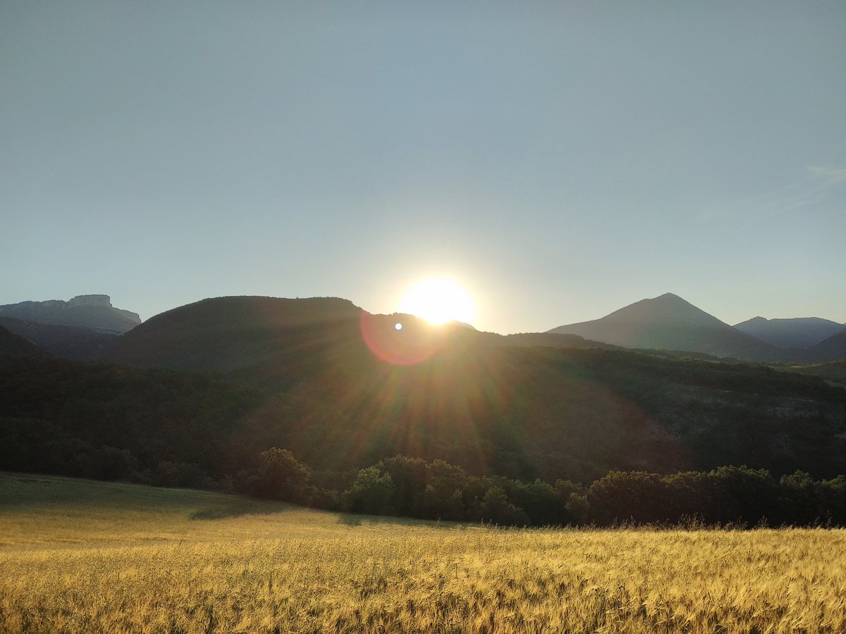 guionjonathan's tweet photo. #leverdusoleil https://t.co/cbV4CeMDOB