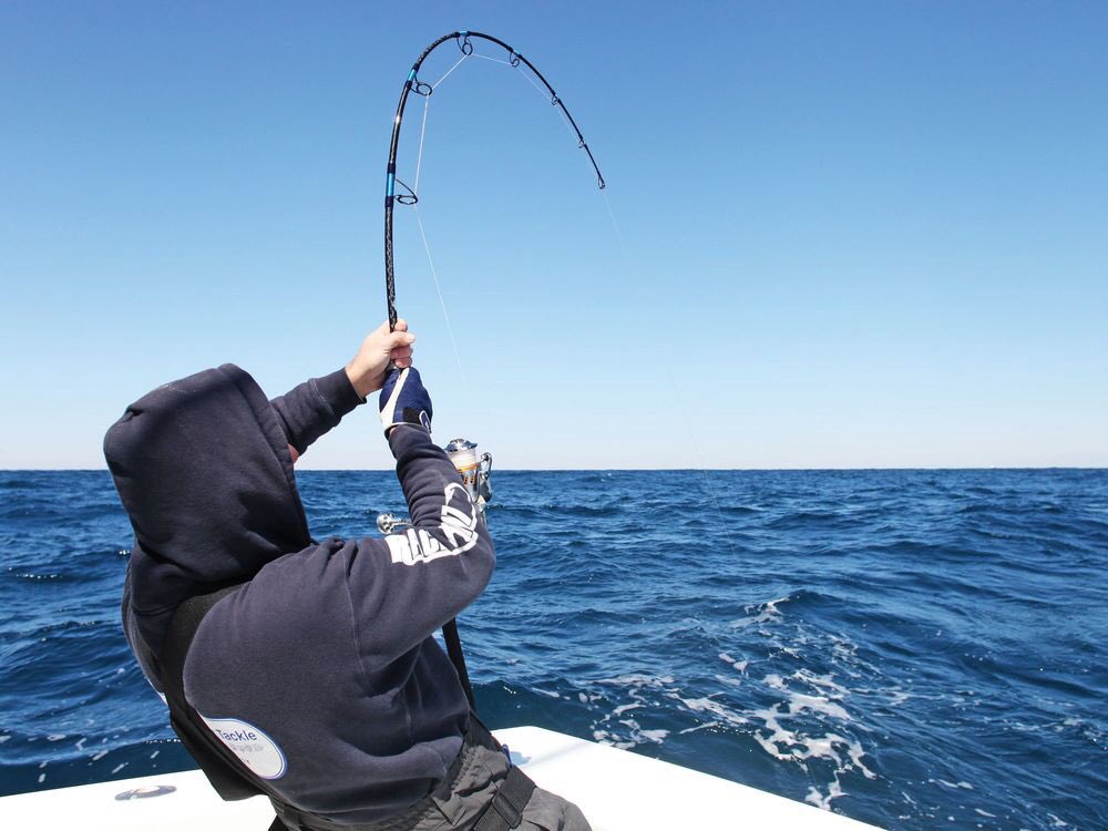 TheFarm_NYC's tweet photo. The good folks from @the.farm just hit me with a cornball alert!!!
This is what it looks like when cornballs go fishing the ocean of info/ systems that we have for our clients to throw 98+ mph. KEEP FISHIN!! https://t.co/Y6auzxILam
