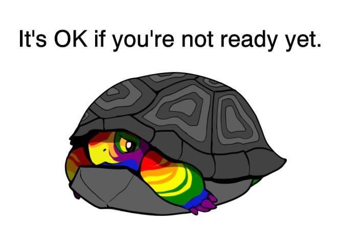 during pride month, please remember❤️