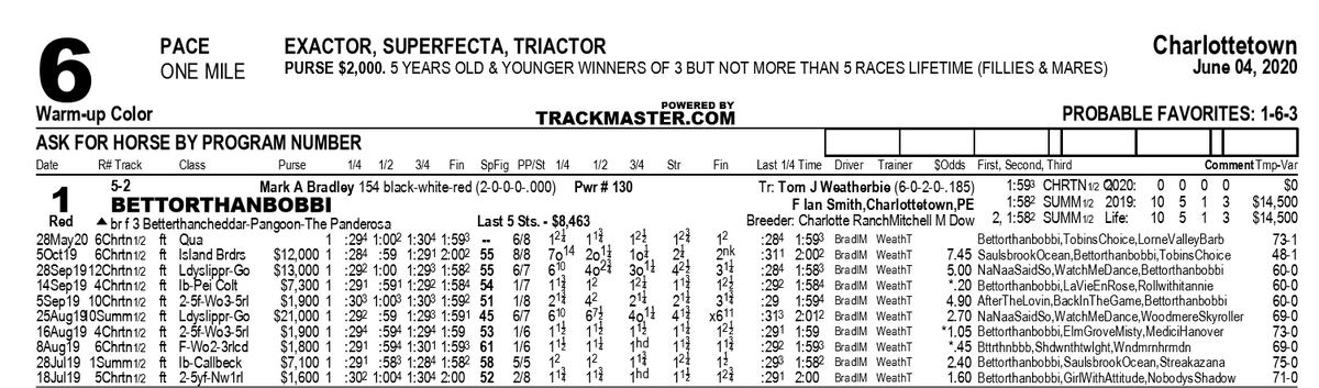 SugarDoyle's tweet photo. #BridgeJumper time coming up at Red Shores? https://t.co/vHKKHS3wGp